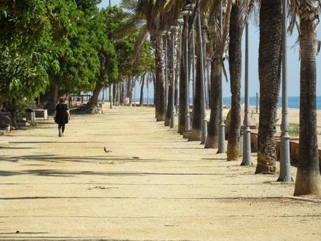 Duplex En Frente De La Playa Al Lado De Barcelona Διαμέρισμα Canet De Mar Εξωτερικό φωτογραφία